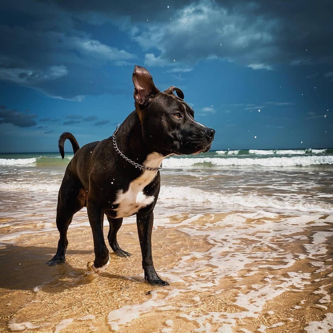 Shot on 1998 Cam — Fuji Superia