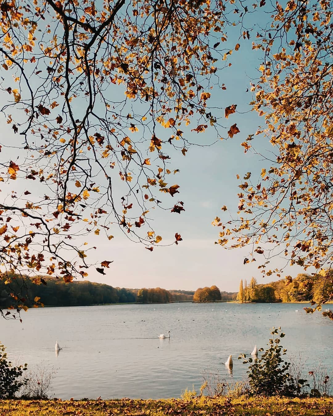 Shot on 1998 Cam — Portra 400