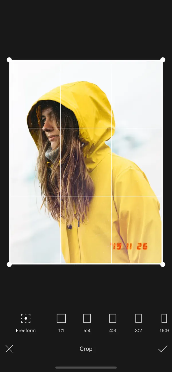 Date Stamps & Film Grain